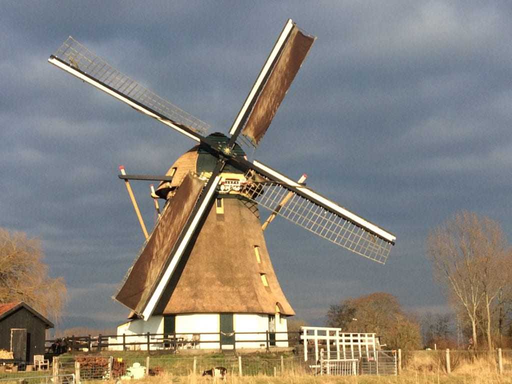 Windmill close to Amsterdam