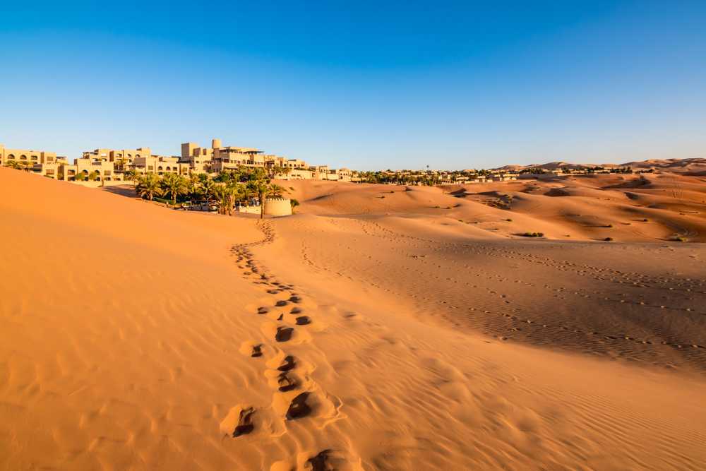 Abu Dhabi Landscaping
